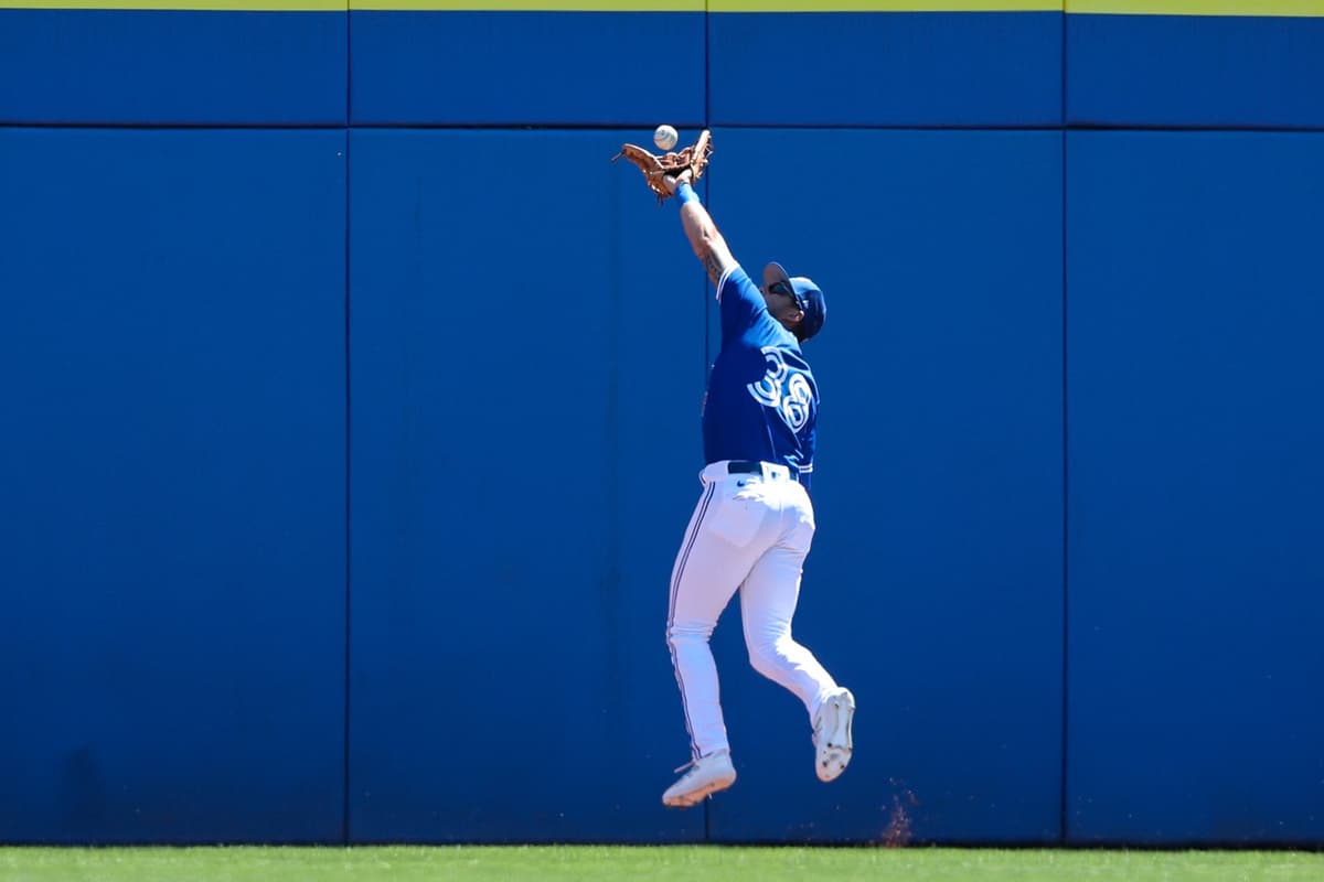 Blue Jays 40man Roster Review Nathan Lukes may not be the Blue Jays